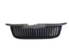BUGIAD BSP24024 Radiator Grille